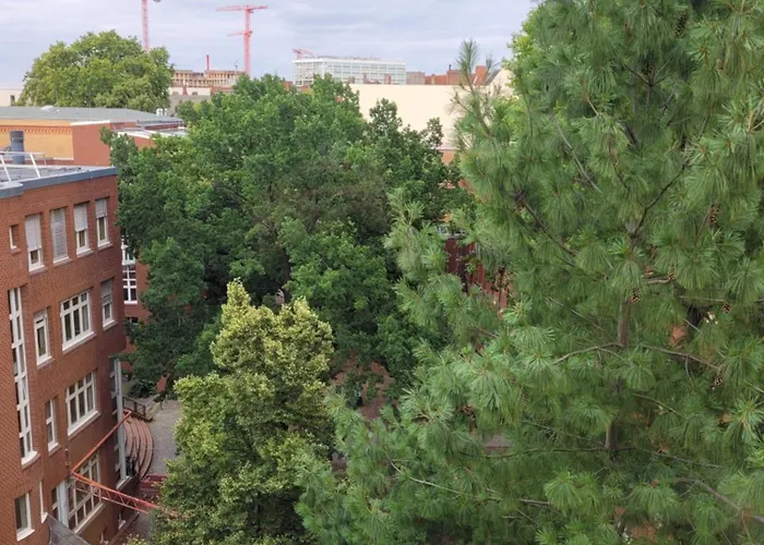 Cosy In Ruhiger Citylage In Berlin-mitte *